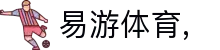 易游·(中国区)体育官方网站-YY SPORTS